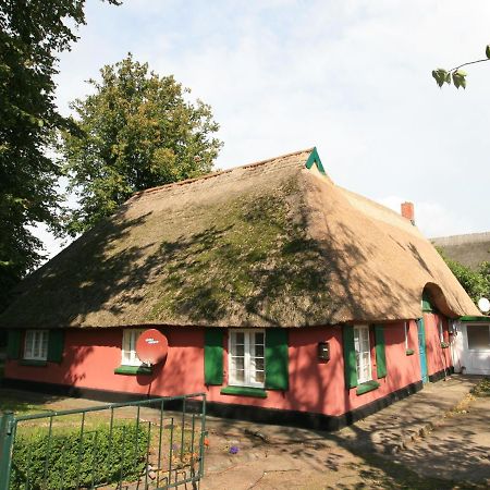 Unterm Rohrdach Apartamento Wustrow  Exterior foto