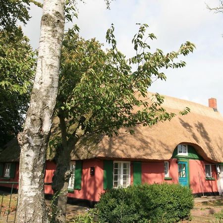 Unterm Rohrdach Apartamento Wustrow  Exterior foto