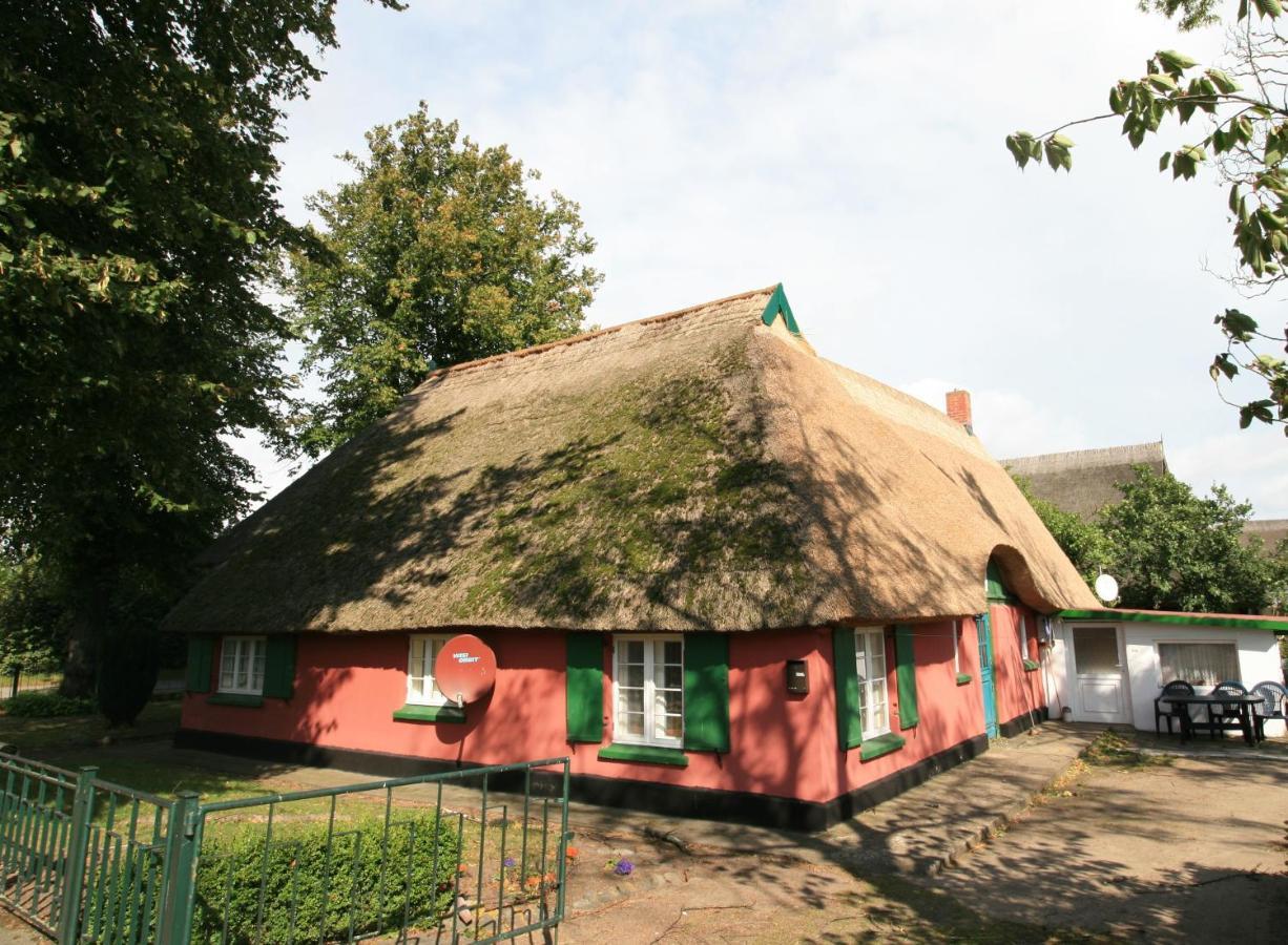 Unterm Rohrdach Apartamento Wustrow  Exterior foto